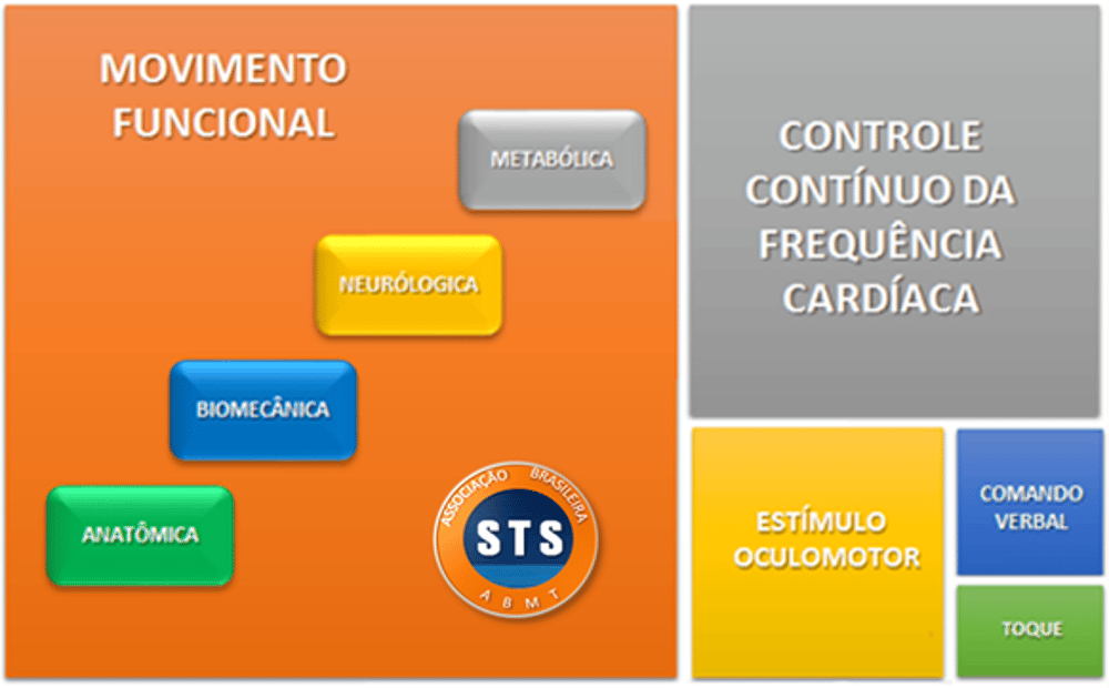 Os cinco fundamentos do Método STS: movimento funcional (metabólica, neurológica, biomecânica, anatômica), controle contínuo da frequência cardíaca, estímulo óculomotor, comando verbal e toque